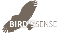 birdssense-logo